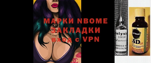 хмурый Корсаков