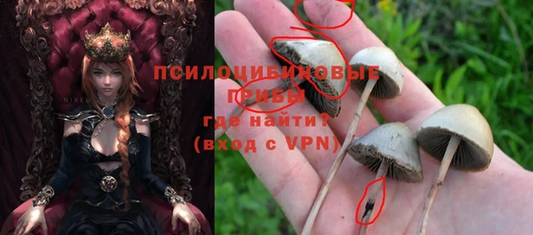 хмурый Корсаков