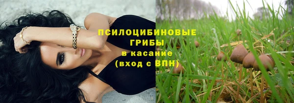 apvp Костерёво